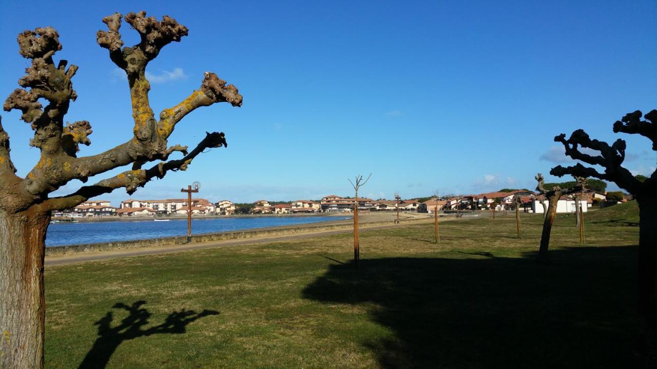Le 322 Entre Lac Et Ocean Vieux-Boucau-les-Bains Bagian luar foto