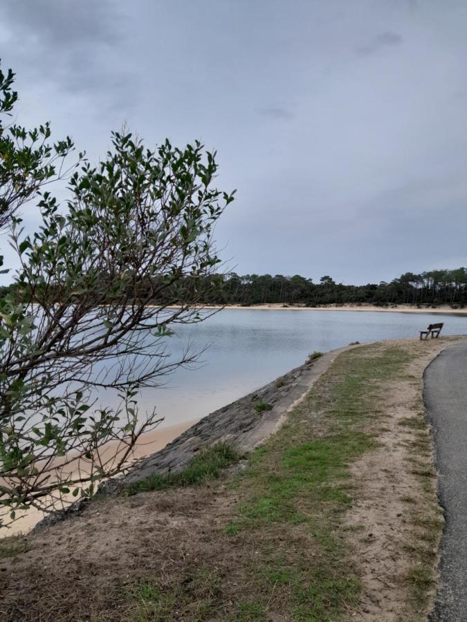 Le 322 Entre Lac Et Ocean Vieux-Boucau-les-Bains Bagian luar foto